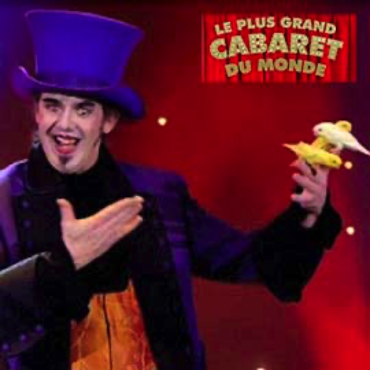 magicien oiseaux le plus grand cabaret du monde