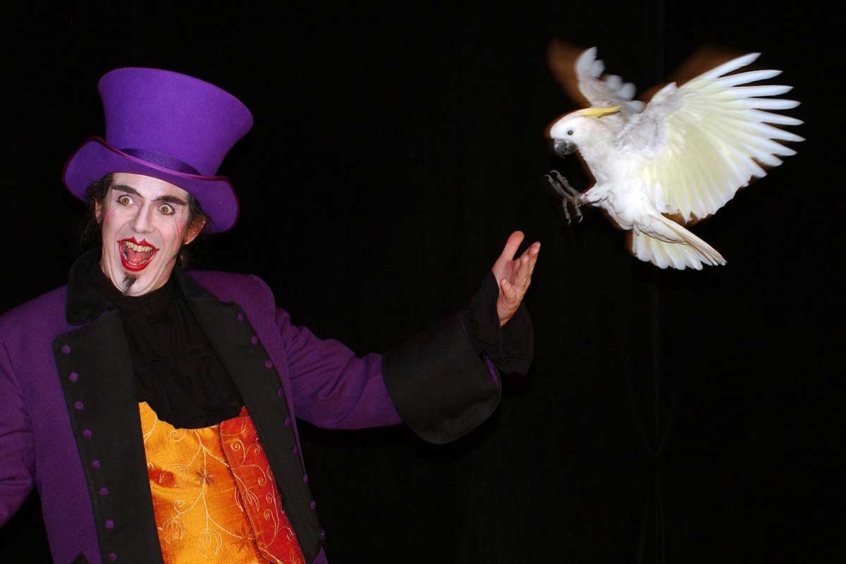 spectacle magie oiseaux le plus grand cabaret du monde
