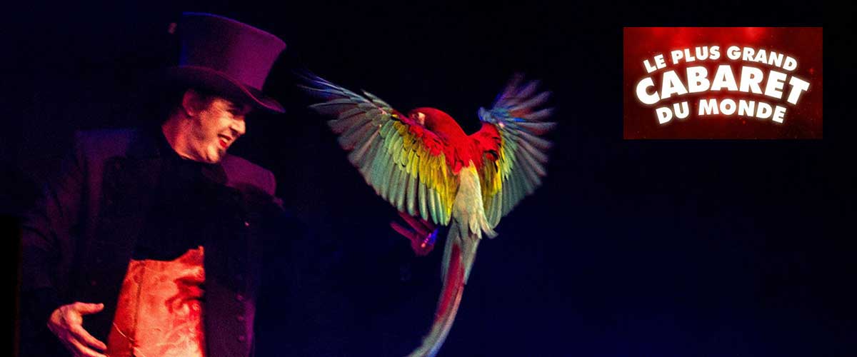 magicien oiseaux le plus grand cabaret du monde