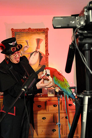 magicien show virtuel perroquet